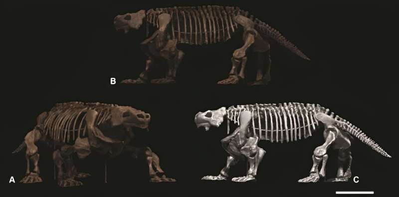 Meet the gigantic extinct reptile that weighed as much as an adult black rhino